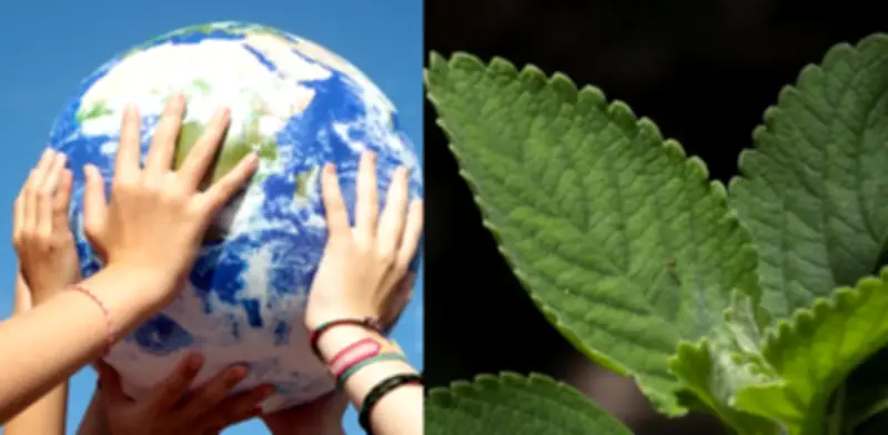 Senadora canadiense Rosa Gálvez exige fondos y límites claros para industrias extractivas