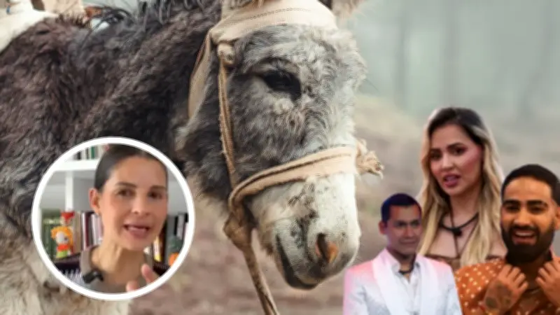 Senadora Padilla condena comentarios sobre zoofilia en La Casa de los Famosos Colombia