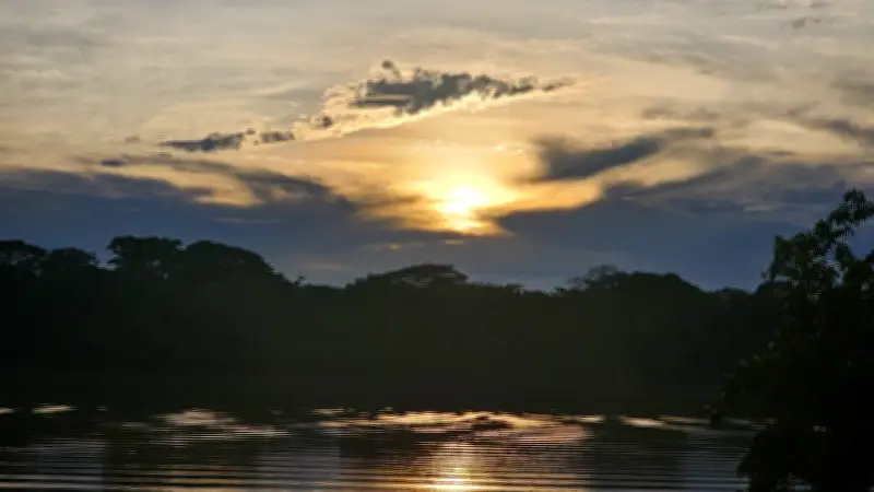 Senderismo en Mapiripán, Meta: Donde el Llano se Encuentra con la Selva