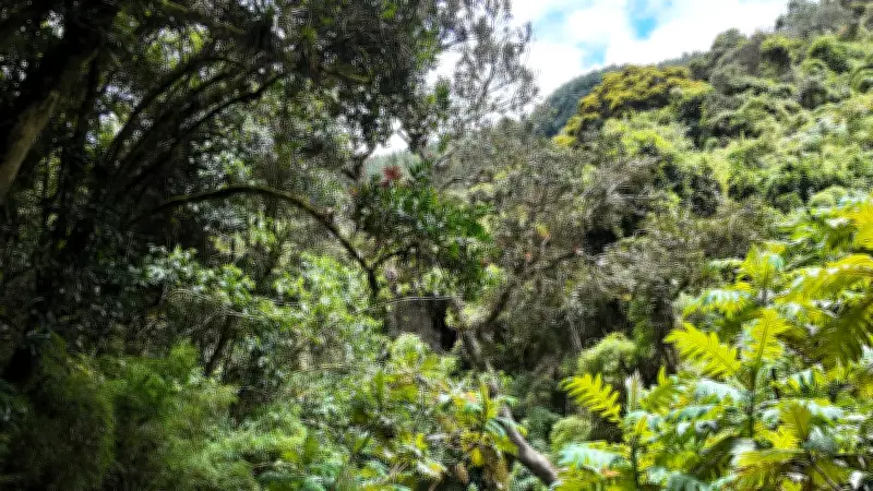 Senderos de Bogotá: Cambios en el acceso durante Semana Santa 2026