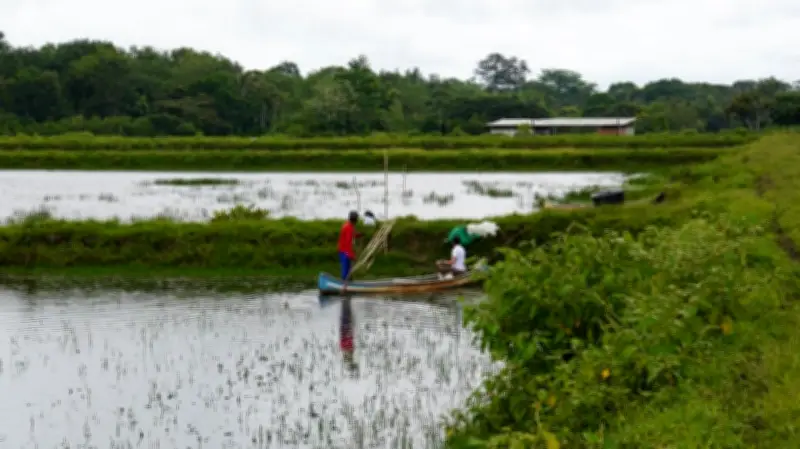 Sistema Nacional de Cooperación: el manglar institucional que fortalece el desarrollo territorial