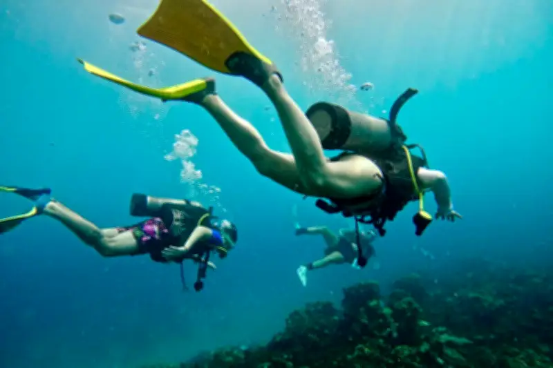 Sucre potencia el Golfo de Morrosquillo con inversiones en turismo, salud y deporte