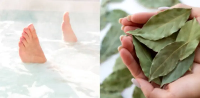 Sumergir los pies en agua de laurel: beneficios y precauciones de este ritual semanal