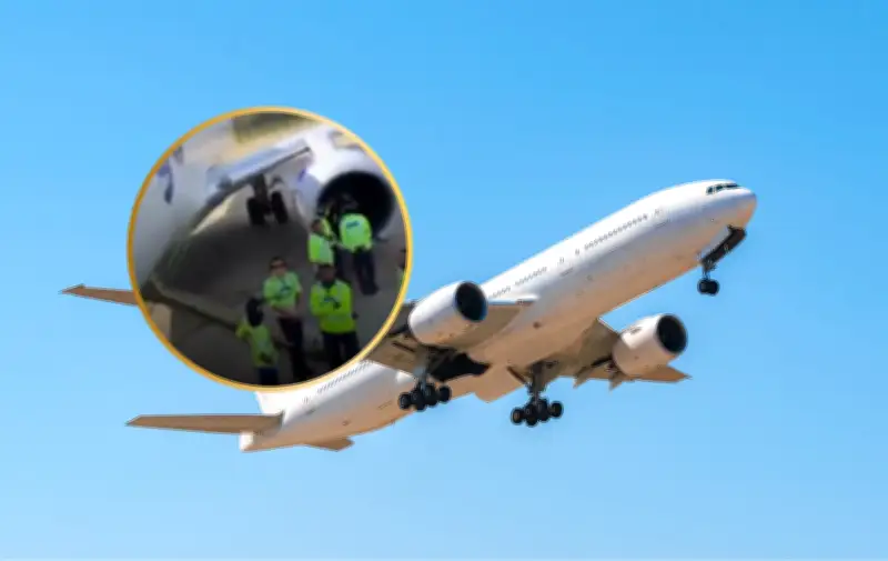 Susto en vuelo de Wingo: avión impacta aves y regresa de emergencia a Barranquilla