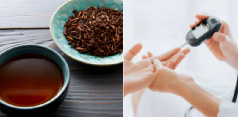 Té Kukicha: La infusión japonesa que regula la glucosa y mejora la sensibilidad a la insulina