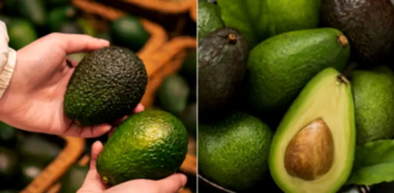 Técnicas expertas para conservar aguacates por más tiempo sin perder calidad