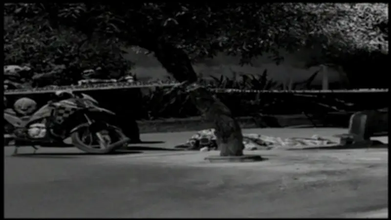 Temor en Cartago, Valle, tras asesinato de tres personas en un parque público