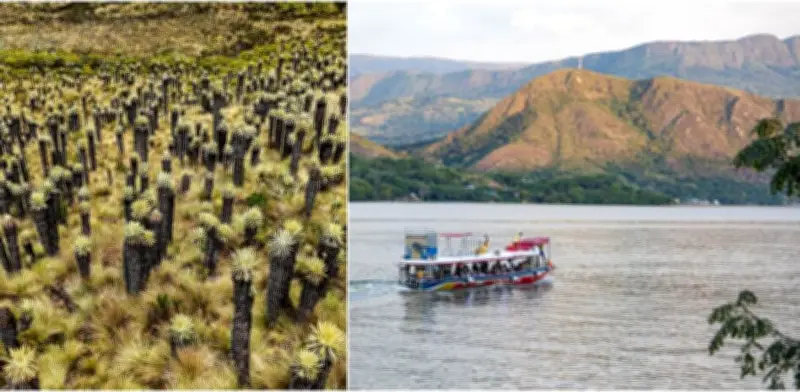 Tolima se consolida en el 'Top 5' del turismo colombiano: naturaleza, historia y gastronomía atraen viajeros