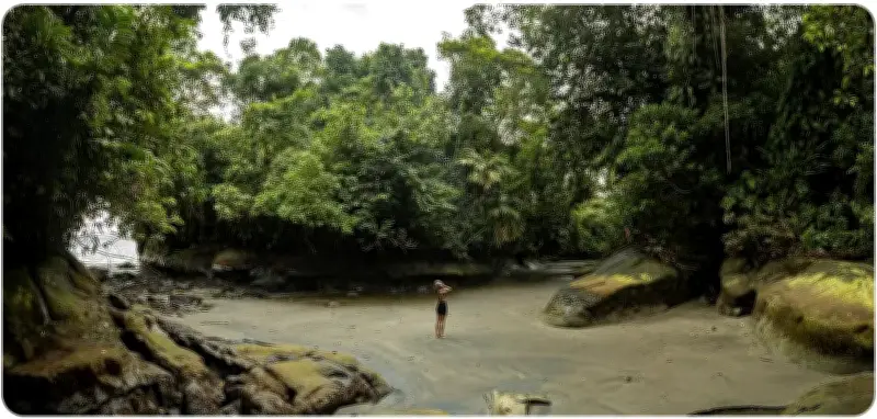 Top 5 Parques Nacionales del Valle del Cauca: Joyas Naturales que Protegen la Biodiversidad