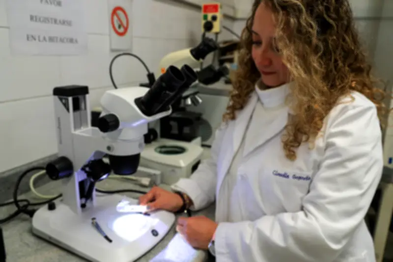 Tres universidades del País Vasco ofrecen 10 másteres con trabajo remunerado para colombianos