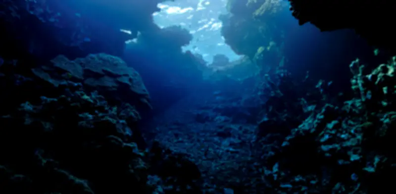 Trivia Maloka: Descubra los secretos del agua en la Tierra y el cosmos