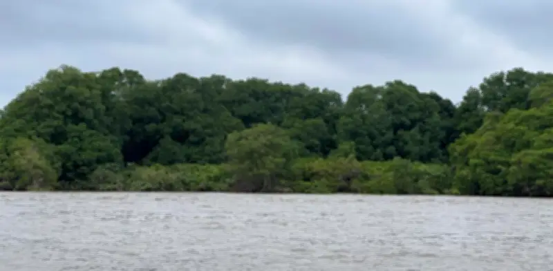 Trivia Maloka explora la diversidad en ecosistemas, género y biología