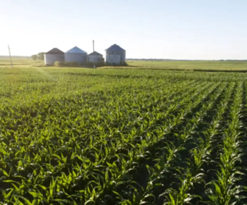 Trump anuncia inyección de US$12.000 millones al agro y lanzamiento de web 'OnlyFarms'