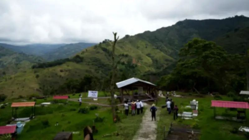 UBPD recupera 10 cuerpos de integrantes del Quintín Lame desaparecidos hace 38 años