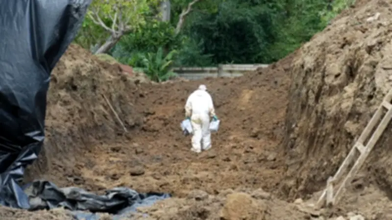 UBPD recupera 19 cuerpos en Necoclí ante erosión costera en cementerio