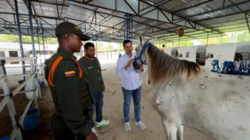 Umata de Cartagena retira caballo adoptado por incumplir compromiso de bienestar animal