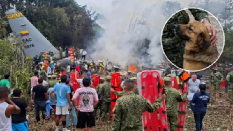 Un perro salvó a soldado de accidente aéreo en Putumayo por problema de peso de la mascota