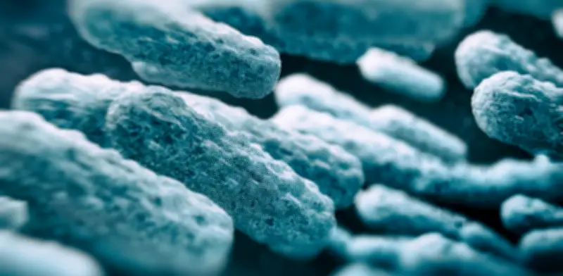 Una de cada seis infecciones bacterianas ya no responde a antibióticos: crisis global golpea a Colombia