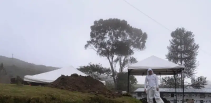 Unidad de Búsqueda recupera siete cuerpos de desaparecidos en cementerio de Samaná, Caldas