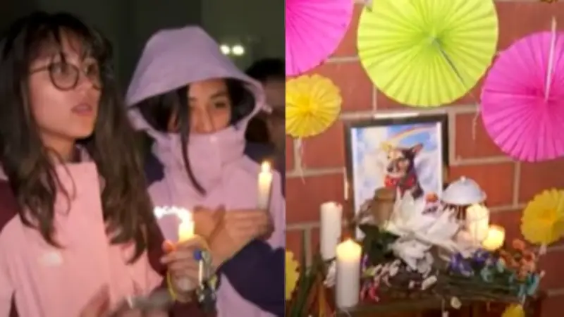 Velatón en Kennedy exige justicia tras lanzamiento de perrito desde piso 25 en Bogotá