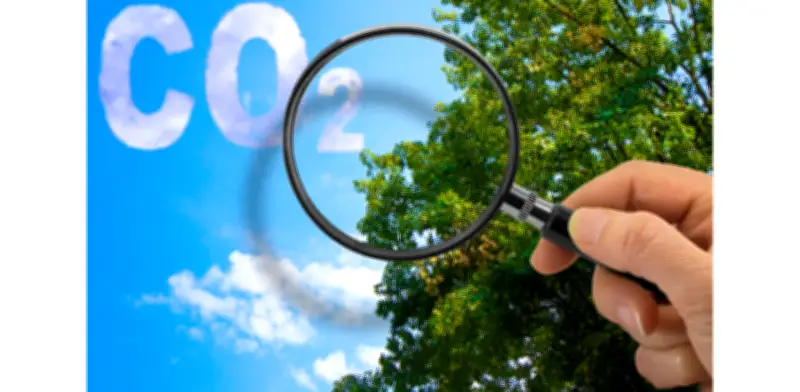 Verificación independiente: clave para la credibilidad en mercados de carbono y afirmaciones climáticas