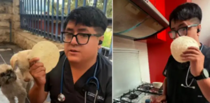 Veterinario revela antídoto casero con tortilla quemada para salvar mascotas envenenadas