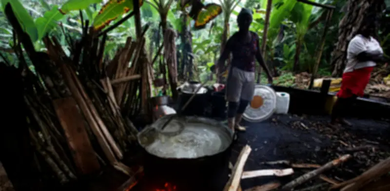 Viche declarado Bien de Interés Cultural: Plan de Salvaguardia beneficia a mil familias del Pacífico