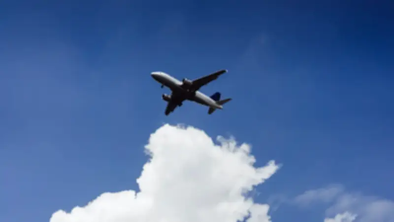 Wingo expande su red con dos nuevas rutas internacionales exclusivas desde Medellín