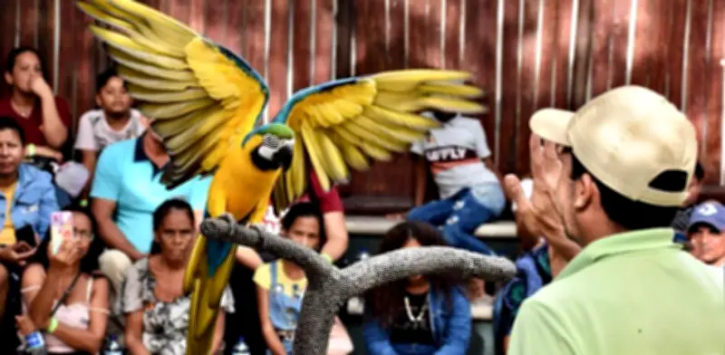 Zoológico de Barranquilla: 70 años como epicentro del turismo natural con conservación y educación ambiental