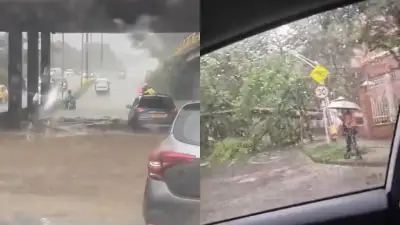 Accidente vial en Antioquia: vehículo cae por un barranco en la vía Rionegro-La Ceja