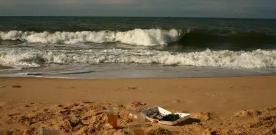 Bacterias marinas clave degradan plásticos: estudio del MIT revela cooperación microbiana