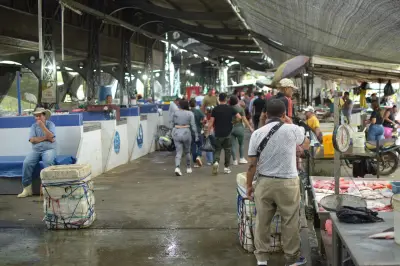 Barrancabermeja intensifica controles sanitarios en venta de pescado para Semana Santa