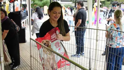 Bumangueses superan meta en Radiotón solidaria recolectando toneladas de alimento para animales abandonados