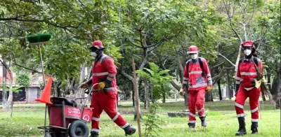 Cali en alerta: Concejo cuestiona 'desmadre operativo' en recolección de basuras y convoca debate