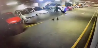Capturan a presunto ladrón de autopartes en parqueaderos de Bogotá: pérdidas superan 80 millones