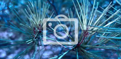 Chet Hanks, hijo de Tom Hanks, varado en Medellín por problema con pasaporte estadounidense