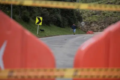 Colombia lanza guía para prevenir atropellamiento de fauna silvestre en carreteras