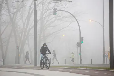Descubren cómo el frío activa los receptores del cuerpo, clave para el manejo del dolor