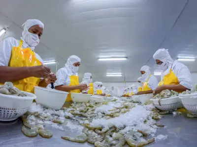 Desempleo en Cartagena alcanza 14,6% en trimestre móvil, superando promedio nacional