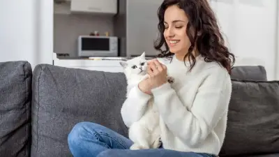 Dueños de gatos en conjuntos residenciales enfrentarán multas superiores a $200.000 por incumplir normas