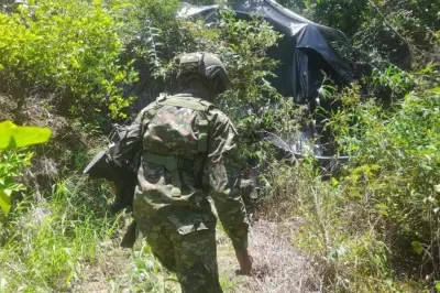 Ejército condena a oficial por falsedad ideológica y desobediencia en operación en Vichada