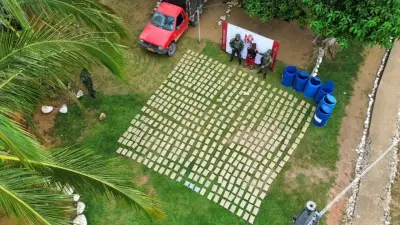 Ejército incauta 450 kilos de marihuana y destruye laboratorio de disidencias en Meta