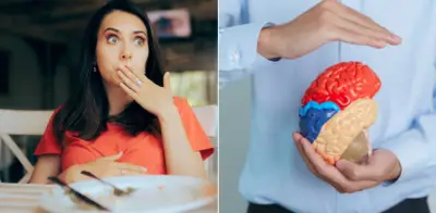 El cerebro sigue deseando comida tras la saciedad: estudio revela que no es falta de voluntad