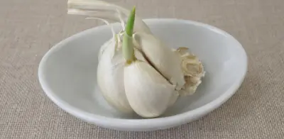 ¿Es seguro consumir ajo germinado? Expertos revelan la verdad sobre su uso culinario