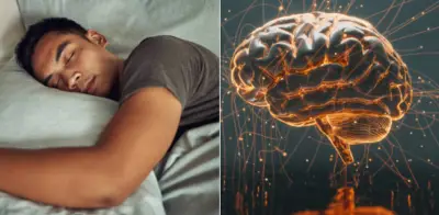 Estudios revelan cómo siestas de 45 minutos e insomnio afectan el cerebro y aprendizaje