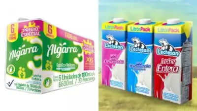 Grupo Gloria abandona producción láctea en Colombia tras 14 años: cierra planta en Cogua
