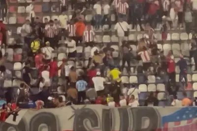 Hinchas del Junior protagonizan vergonzosa pelea durante derrota 4-0 ante Atlético Nacional