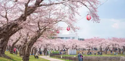 Hokkaido: El paraíso natural de Japón que sorprende en las cuatro estaciones