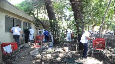 Impresionante video revela condiciones de hacinamiento en rescate de más de 80 perros en Barranquilla