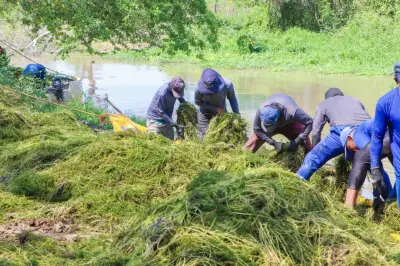 IPS Niños de Papel lidera jornada ambiental en caño Juan Angola de Cartagena